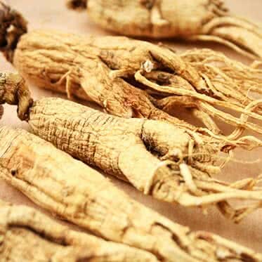 Ginseng (Panax Ginseng)